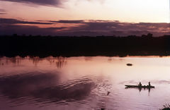 Forêt amazonienne, Iquitos