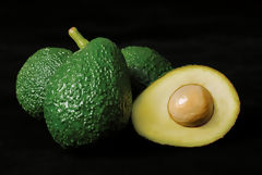 Avocat Hass