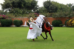 La Marinera et le cheval de pas