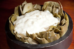 Artichauts en sauce béchamel