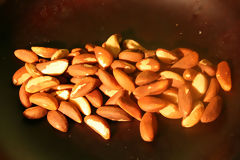Castaña