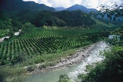 Vallée du Huancabamba, Pasco