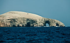 Iles Ballestas, Paracas