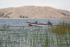 le Tikonata sur le lac Titicaca