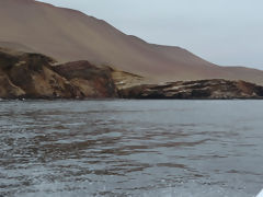 Iles Ballestas, Paracas