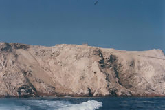 Iles Ballestas, Paracas