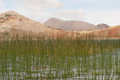 le Tikonata sur le lac Titicaca