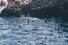 Iles Ballestas, Paracas