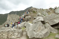 Citadelle de Machu Picchu