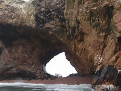 Iles Ballestas, Paracas