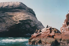 Iles Ballestas, Paracas