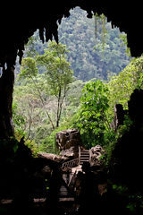 Grotte des Chouettes, Tingo Mara