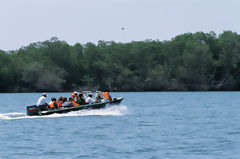 Touristes dans les mangroves de Tumbes