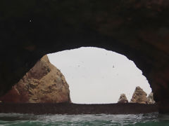 Iles Ballestas, Paracas