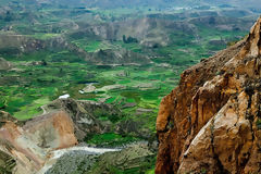 Canyon de Colca