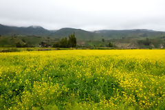 Campagne dans la vallée du Colca