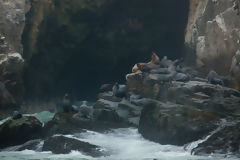Îles Palomino, Callao