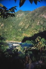 Forêt tropicale, Puerto Inca